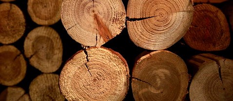 2026世界杯，世界杯买球网站，世界杯投注，世界杯外围买球，世界杯竞猜